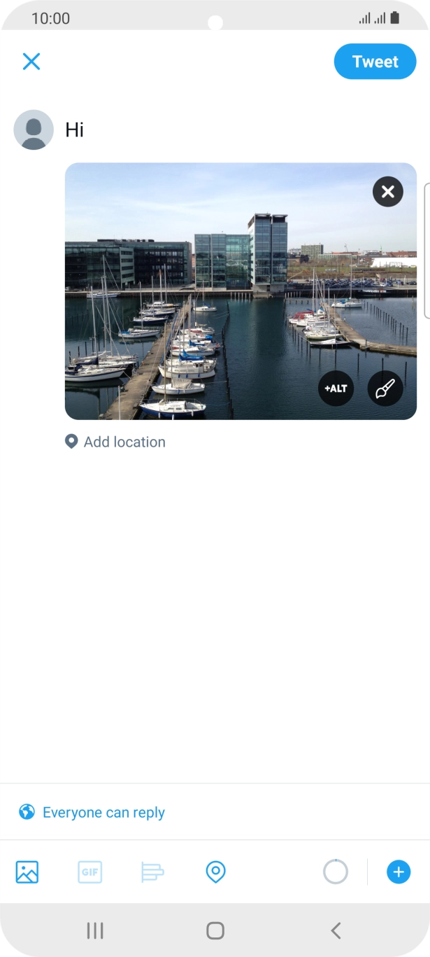 Write the required text and press Tweet.