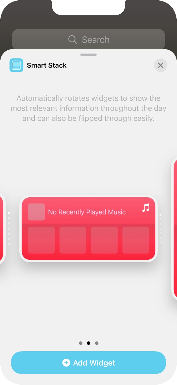 Slide your finger right or left on the screen to select the required widget size.