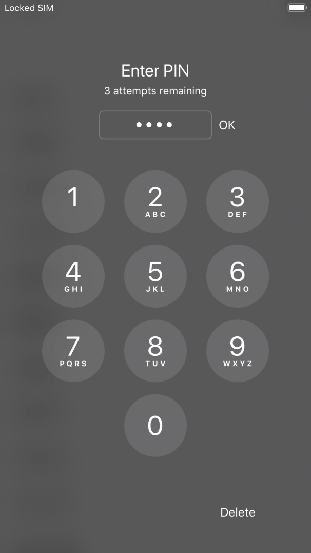 Key in your PIN and press OK.