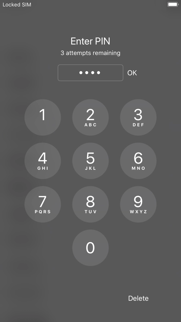 Key in your PIN and press OK.