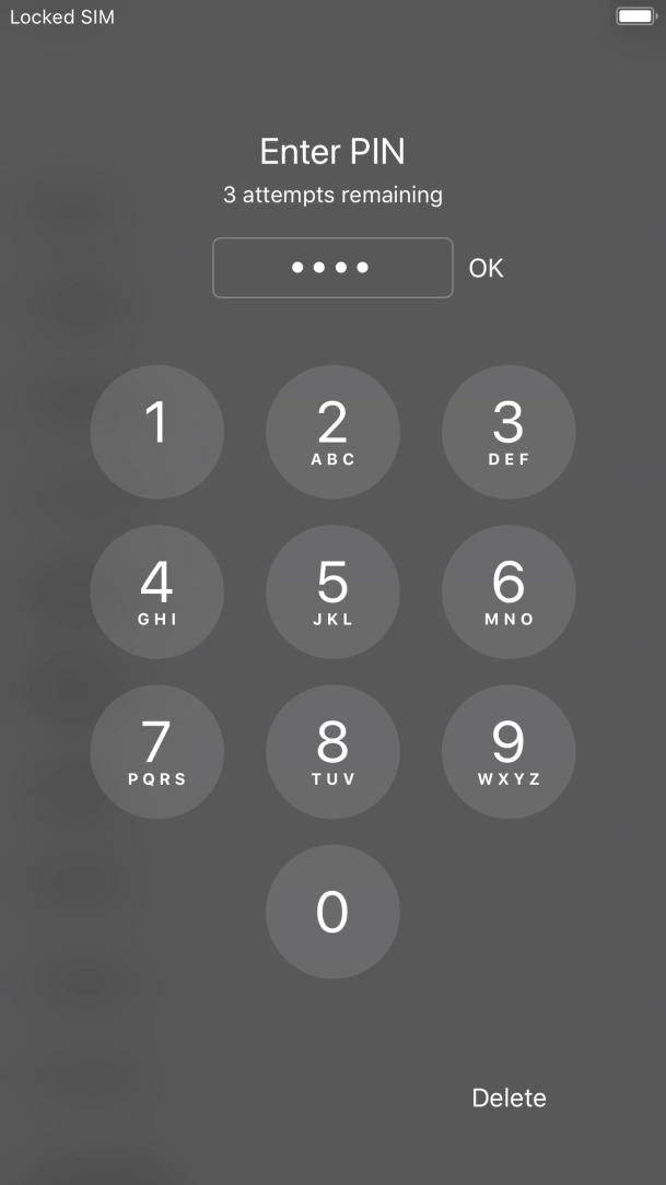Key in your PIN and press OK.