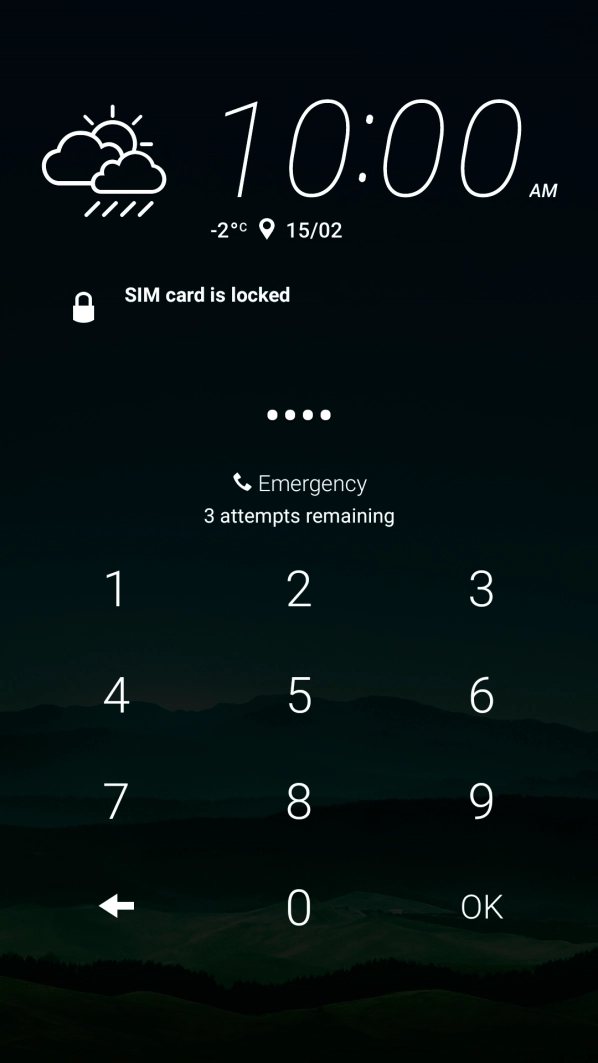 If you're asked to key in your PIN, do so and press OK.