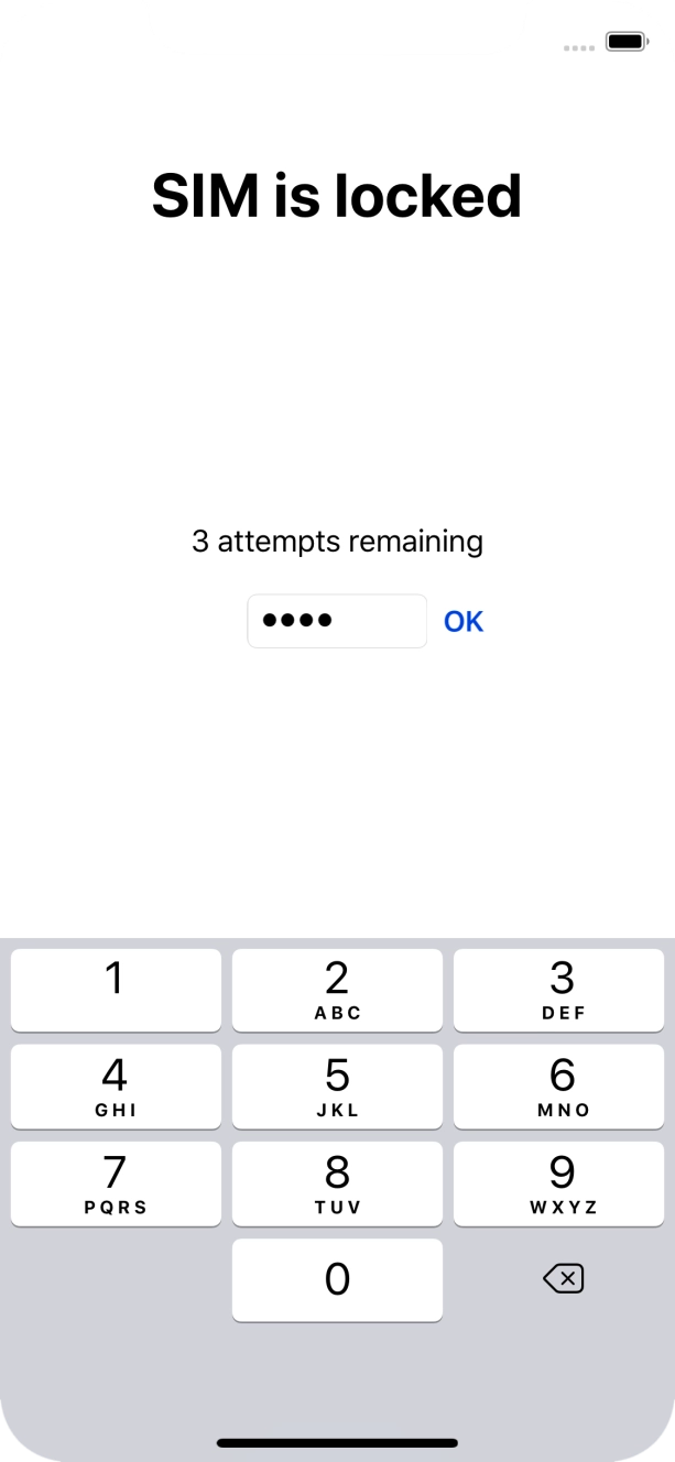 Key in your PIN and press OK.