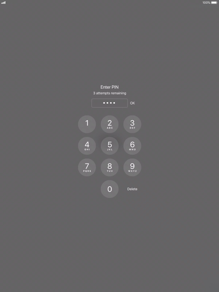 Key in your PIN and press OK. Key in your PIN and press OK.