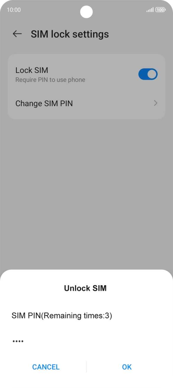 Key in your PIN and press OK. Key in your PIN and press OK.