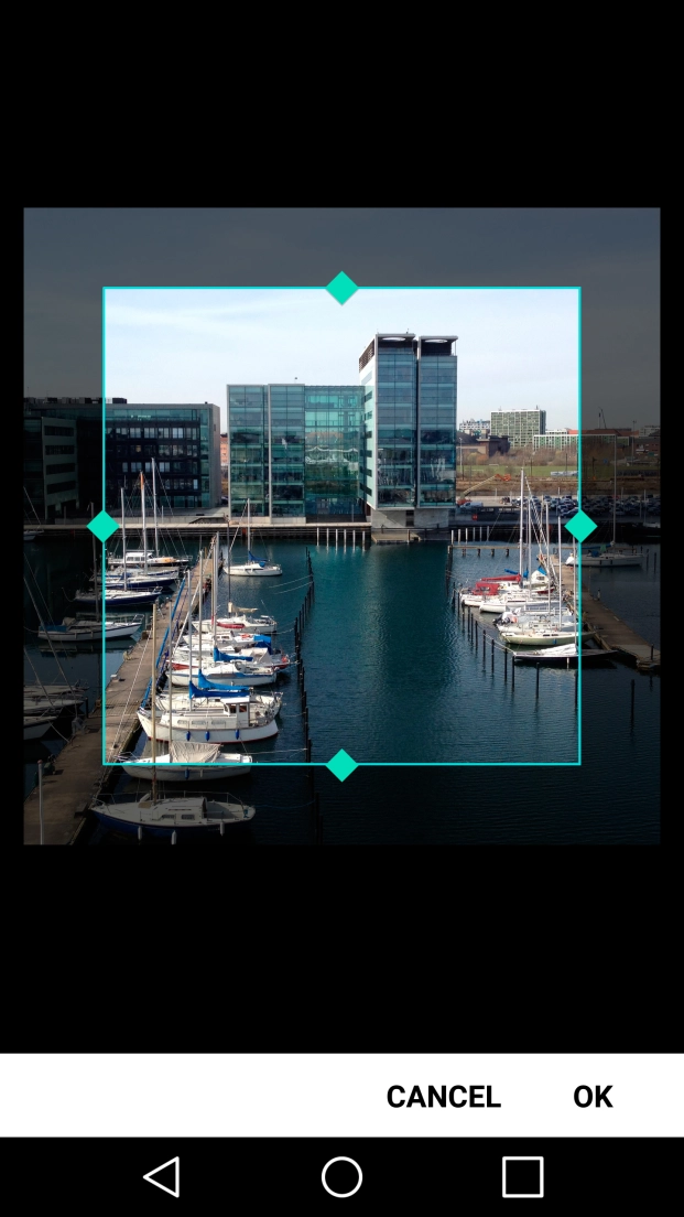 Drag the frame to the required position to select the required detail and press OK.