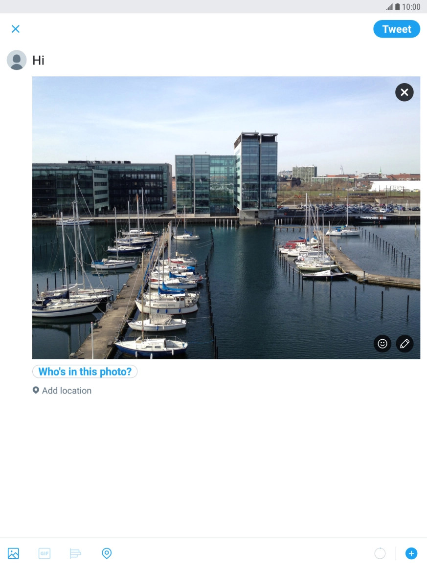Write the required text and press Tweet.