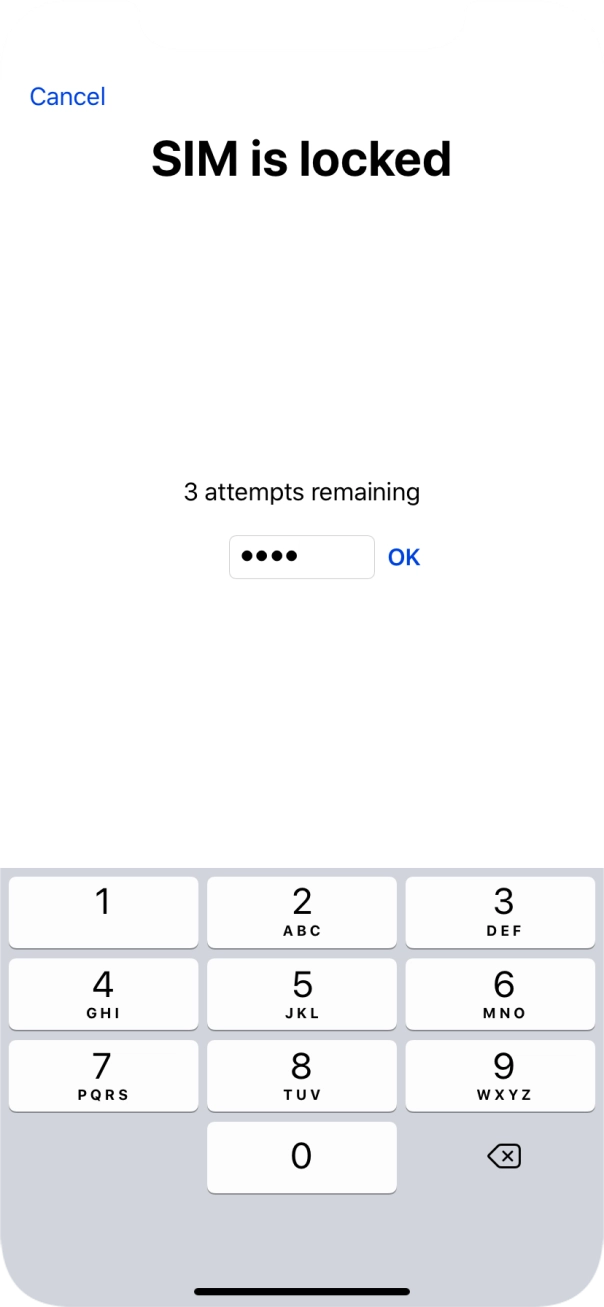 If your SIM is locked, key in your PIN and press OK.
