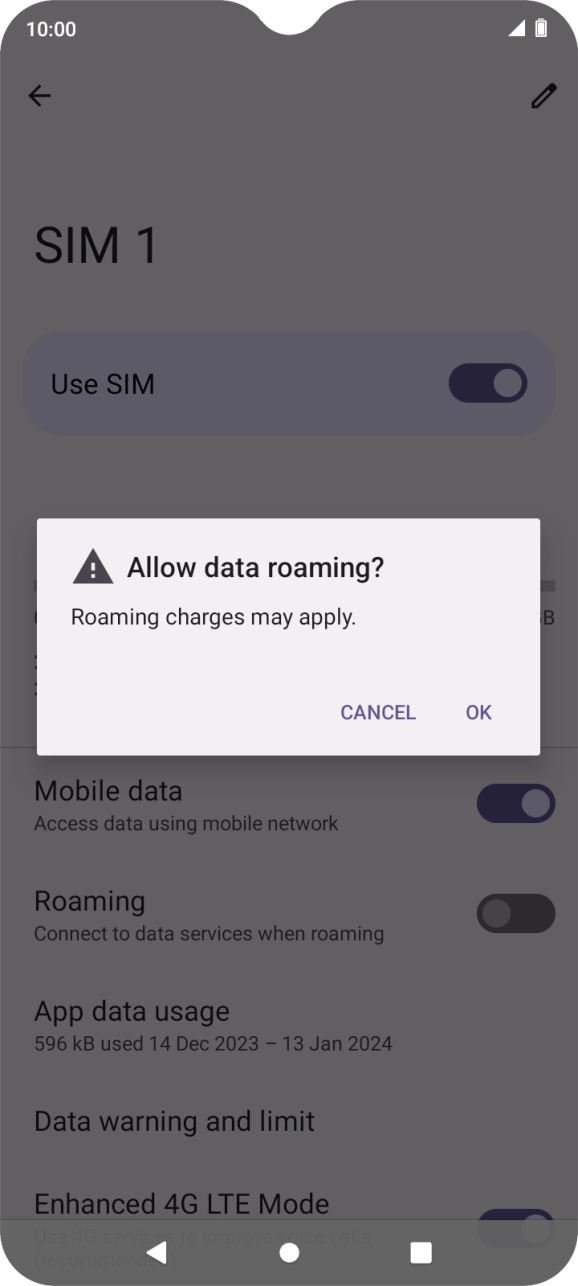 If you turn on data roaming, press OK.