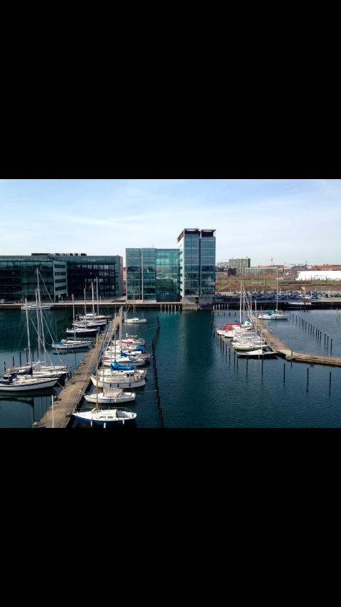 Press anywhere on the screen.