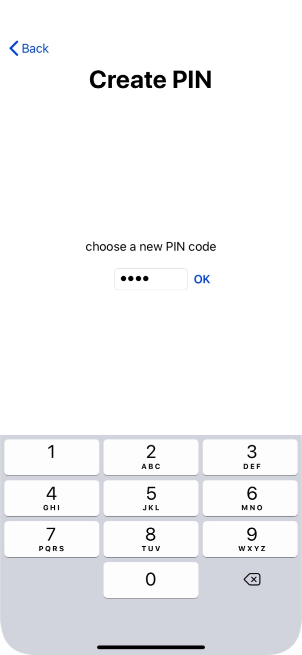 Key in a new four-digit PIN and press OK.