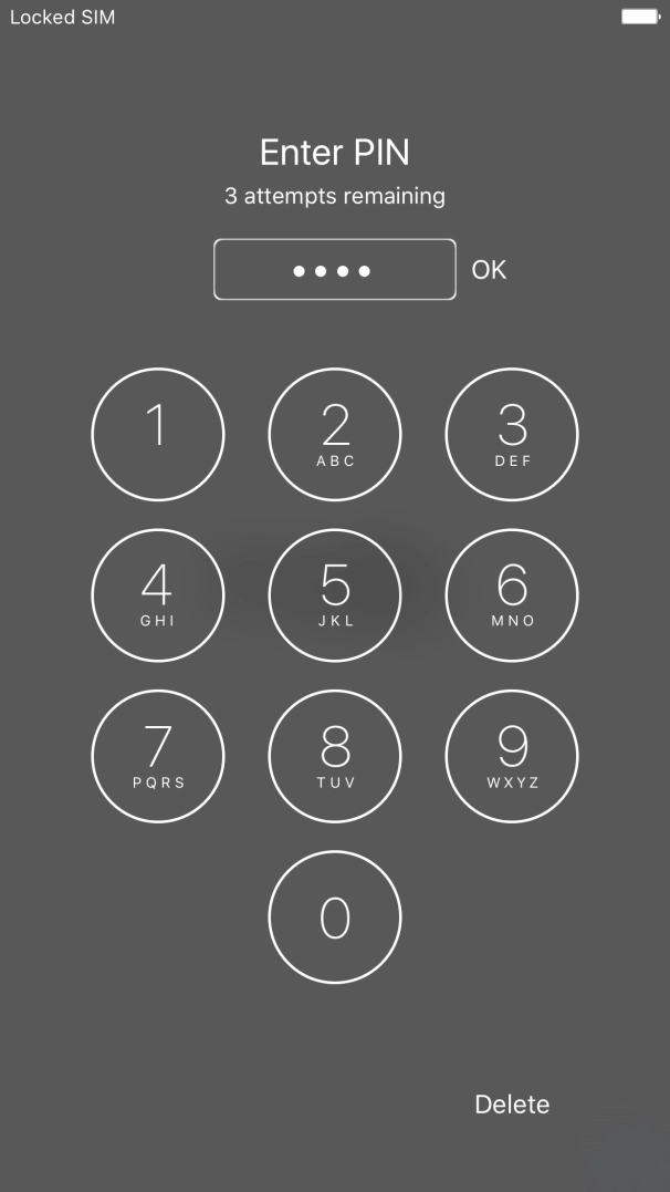 Key in your PIN and press OK.