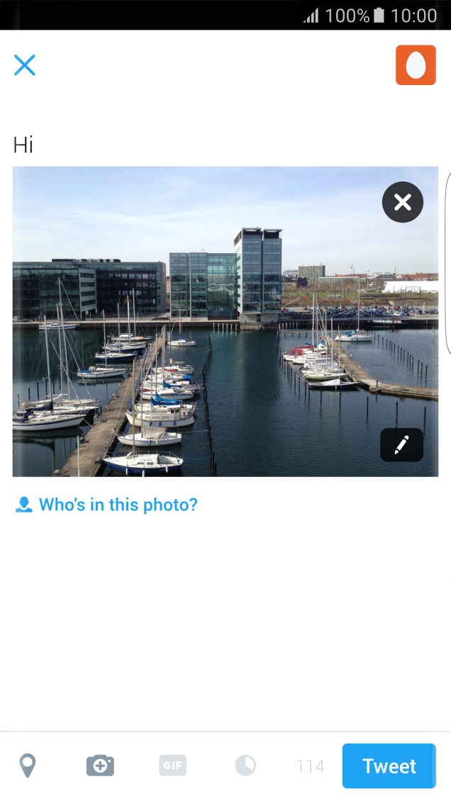 Write the required text and press Tweet.