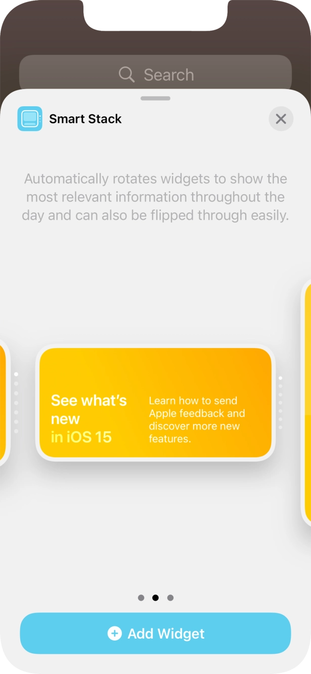 Slide your finger right or left on the screen to select the required widget size.