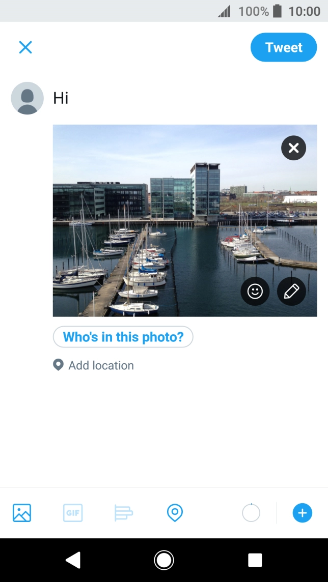 Write the required text and press Tweet.