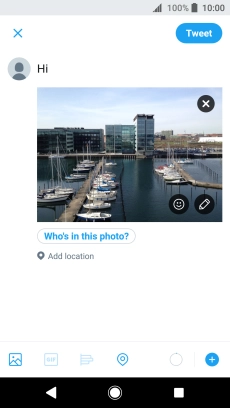 Write the required text and press Tweet.