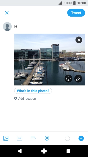 Write the required text and press Tweet.