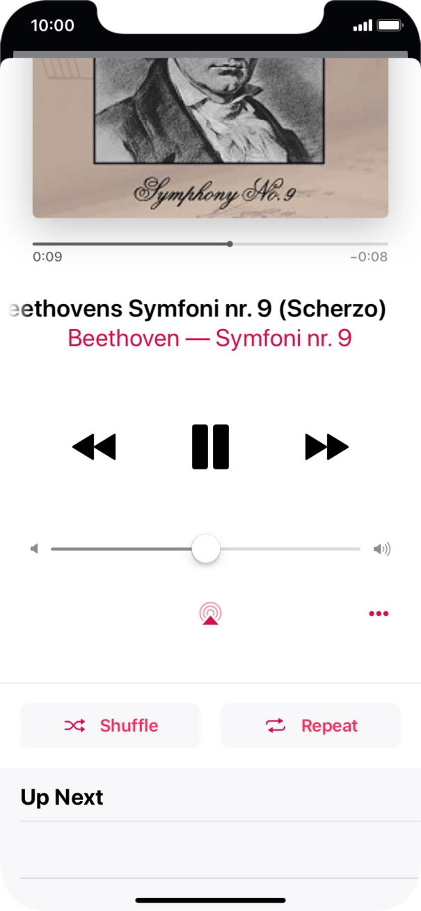 Press Shuffle to turn the function on or off.