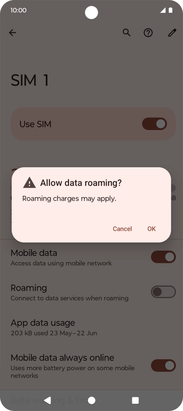 If you turn on data roaming, press OK.