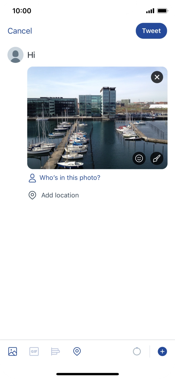 Write the required text and press Tweet.