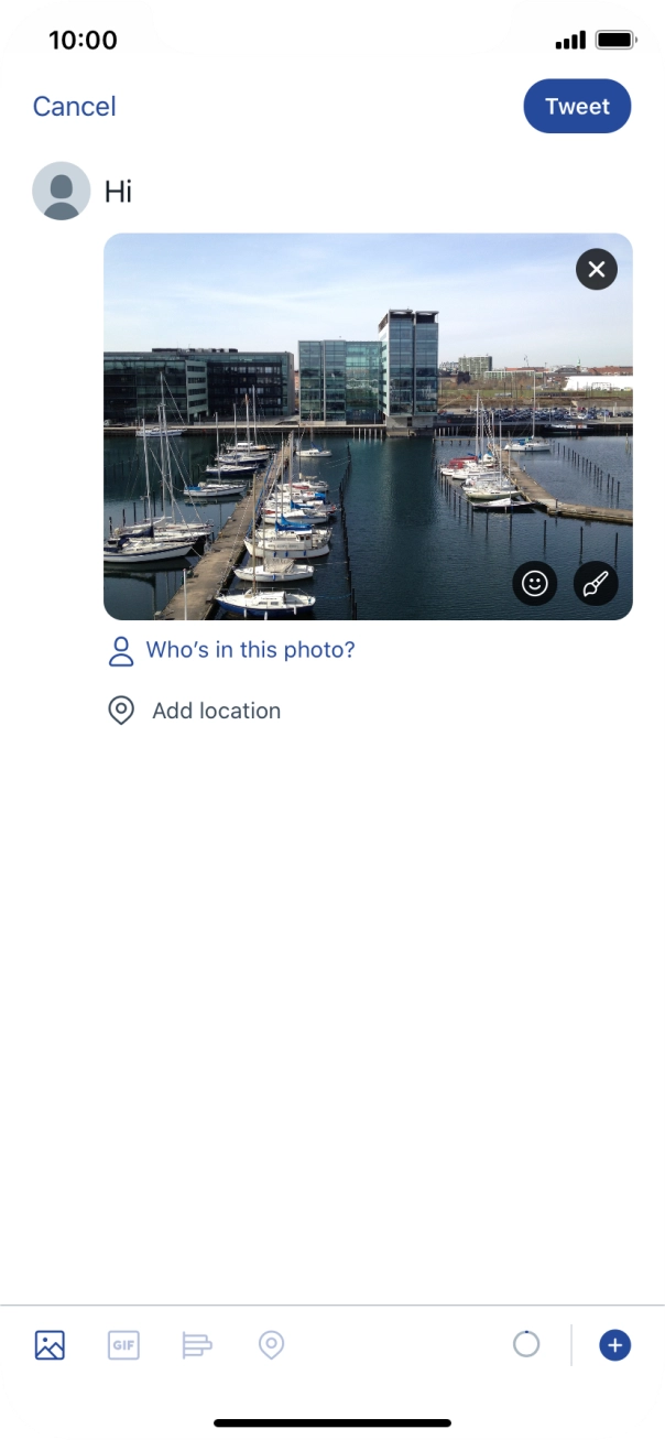 Write the required text and press Tweet.