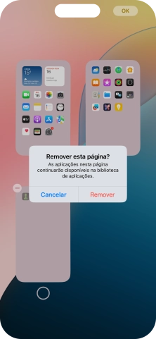 Prima Remover.
