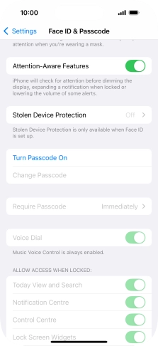 Press Turn Passcode On and key in a lock code of your own choice twice.