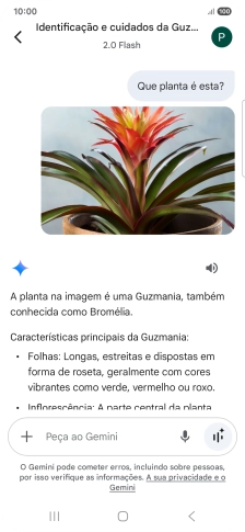 Siga as indicações no ecrã para escrever ou ditar a pergunta pretendida. Pode também anexar imagens ou documentos e fazer perguntas a respeito destes.