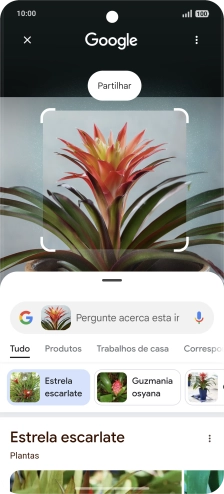 Siga as indicações no ecrã  para utilizar os resultados da pesquisa.