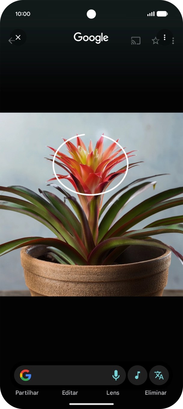 Desenhe um círculo em volta do objeto pretendido na imagem e utilize os resultados da pesquisa.