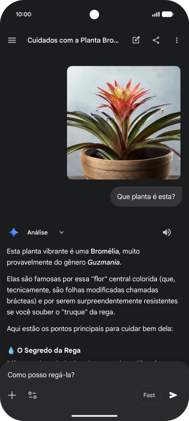 Siga as indicações no ecrã para escrever ou ditar perguntas, para continuar a conversa.