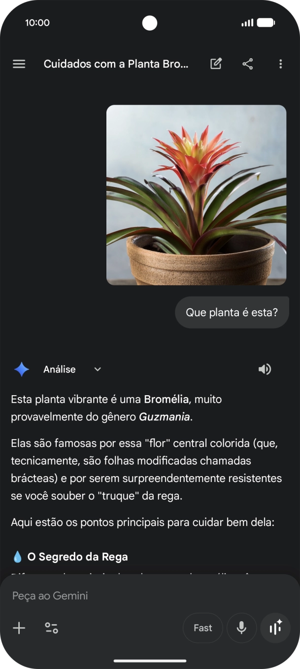 Siga as indicações no ecrã para escrever ou ditar a pergunta pretendida. Pode também anexar imagens ou documentos e fazer perguntas a respeito destes.