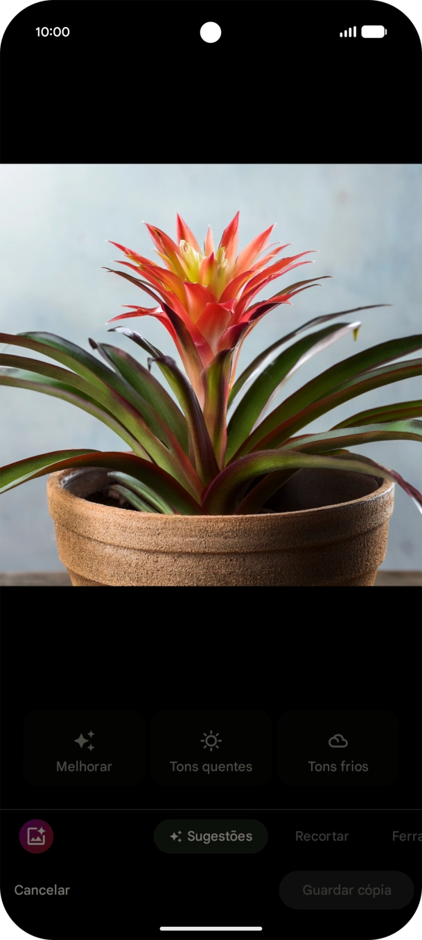 Siga as indicações no ecrã  para utilizar a função.