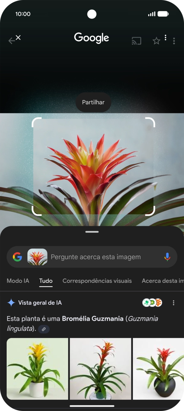 Siga as indicações no ecrã  para utilizar os resultados da pesquisa.