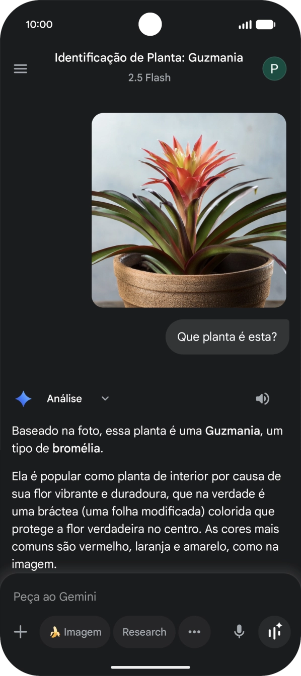 Siga as indicações no ecrã para escrever ou ditar a pergunta pretendida. Pode também anexar imagens ou documentos e fazer perguntas a respeito destes.
