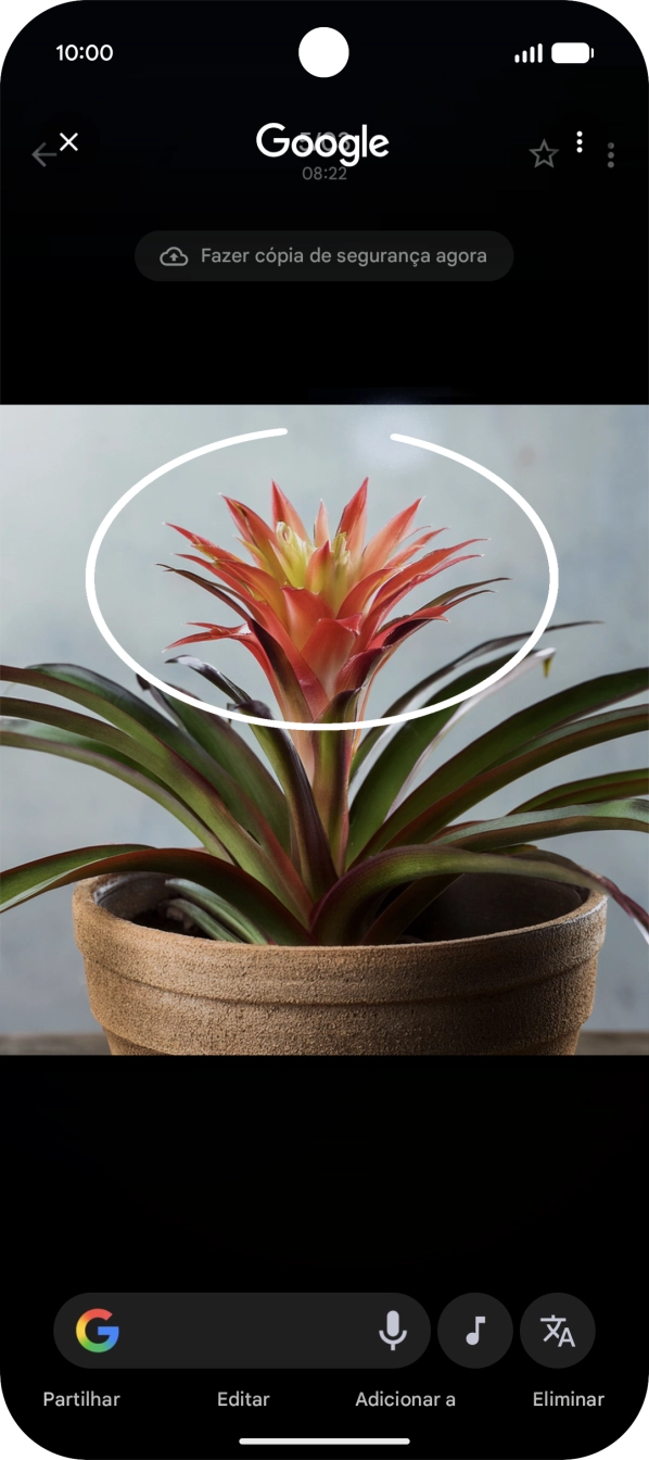 Desenhe um círculo em volta do objeto pretendido na imagem e utilize os resultados da pesquisa.