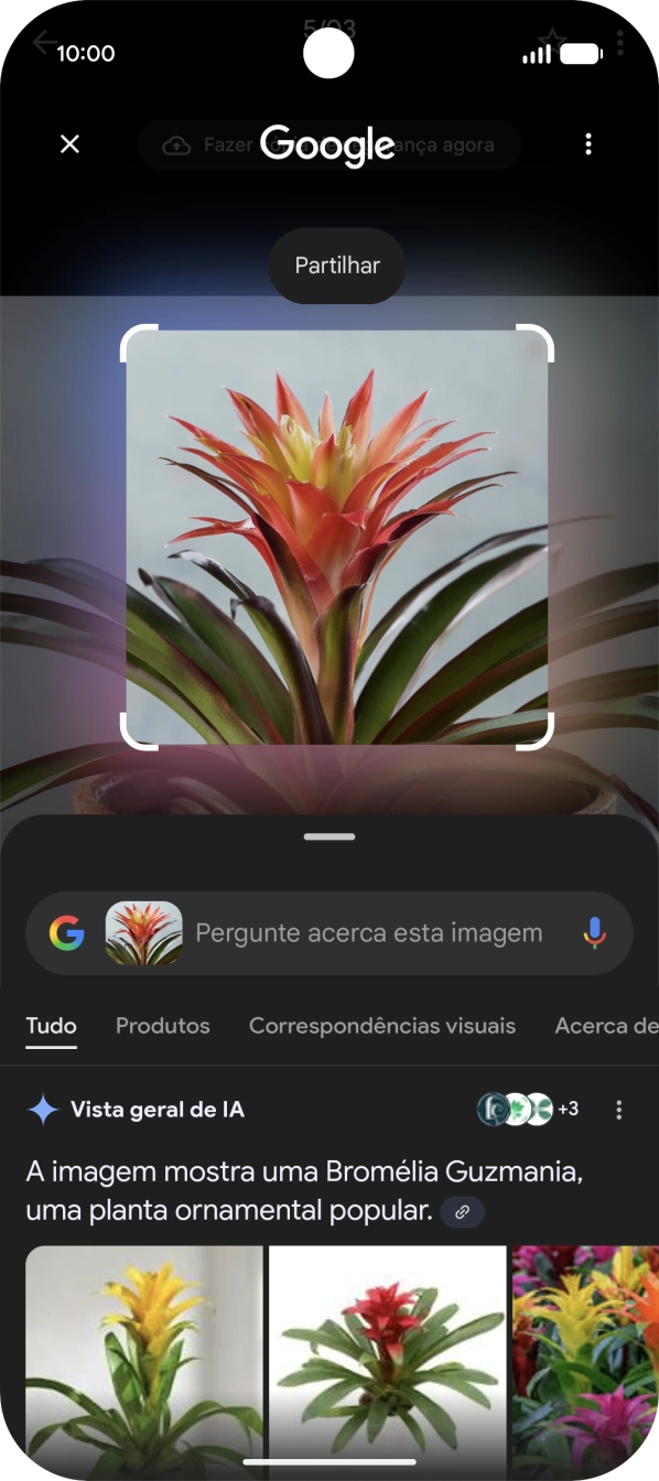 Siga as indicações no ecrã  para utilizar os resultados da pesquisa.