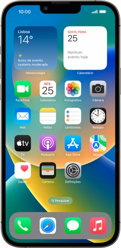 Apple iPhone 13 Pro Max
