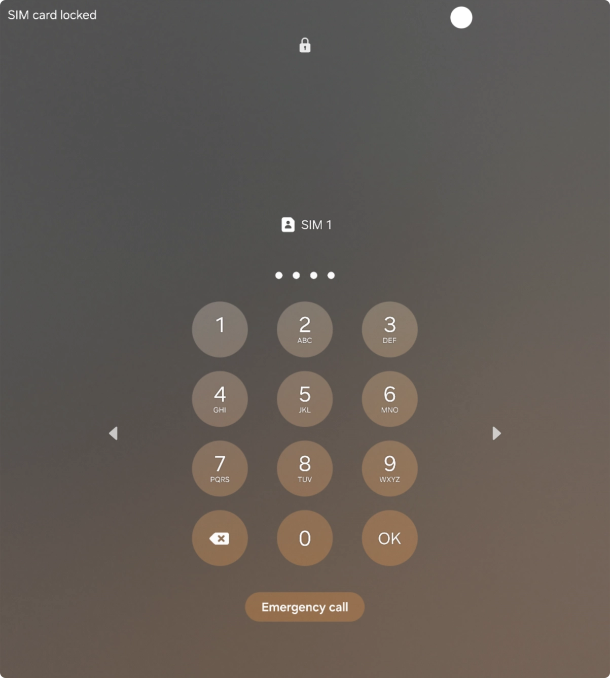 If your SIM is locked, key in your PIN and press OK.