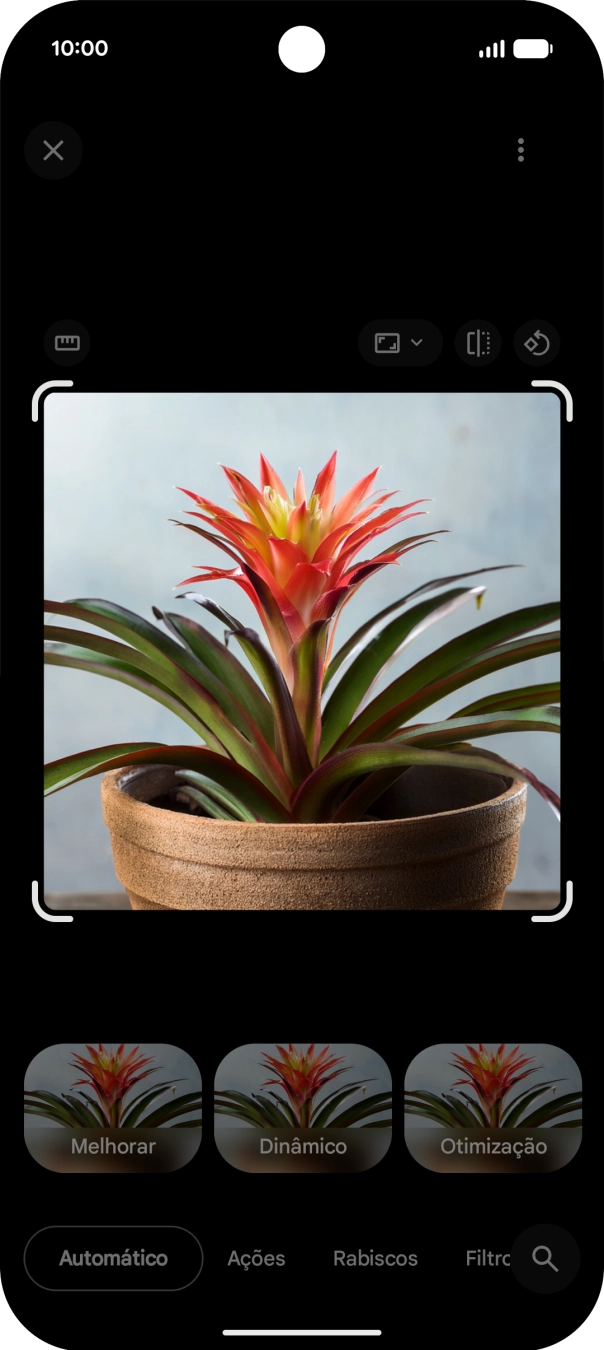 Siga as indicações no ecrã  para utilizar a função.