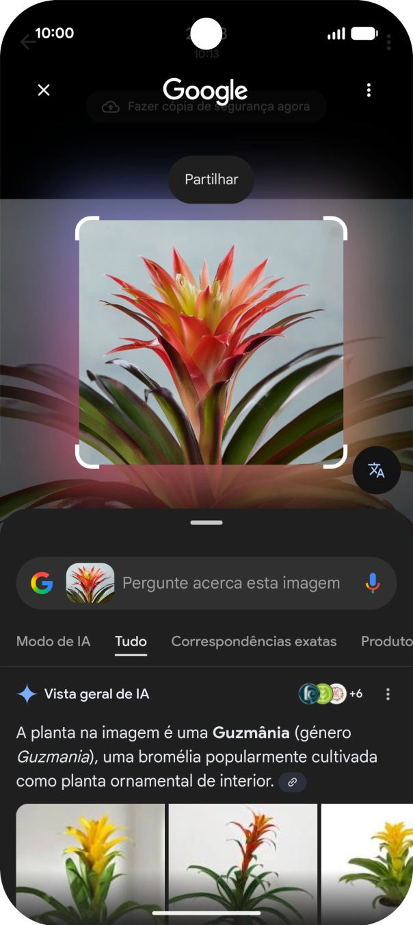 Siga as indicações no ecrã  para utilizar os resultados da pesquisa.