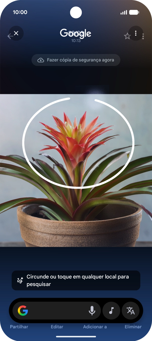 Desenhe um círculo em volta do objeto pretendido na imagem e utilize os resultados da pesquisa.