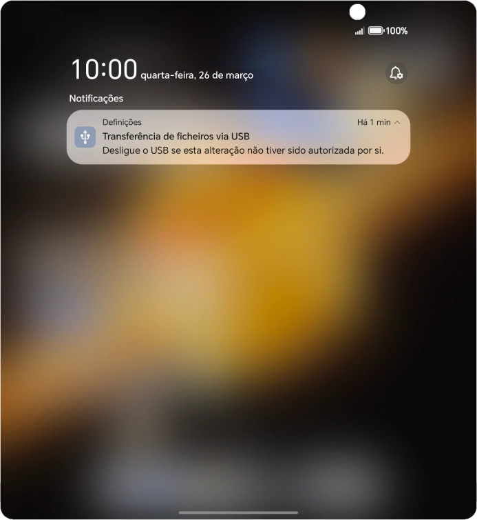 Prima usb icon.