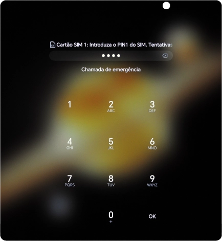 Se solicitado, deve introduzir o código PIN e premir OK.