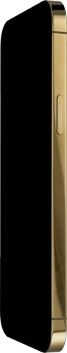 Imagen 4: Vista del lateral derecho del Apple iPhone 12 Pro Max - Gold