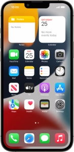 Apple iPhone 13 Pro Max