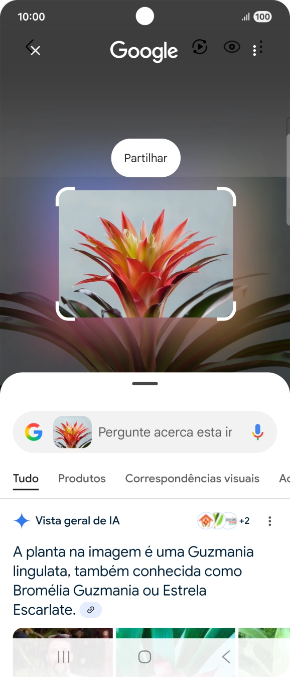 Siga as indicações no ecrã  para utilizar os resultados da pesquisa.