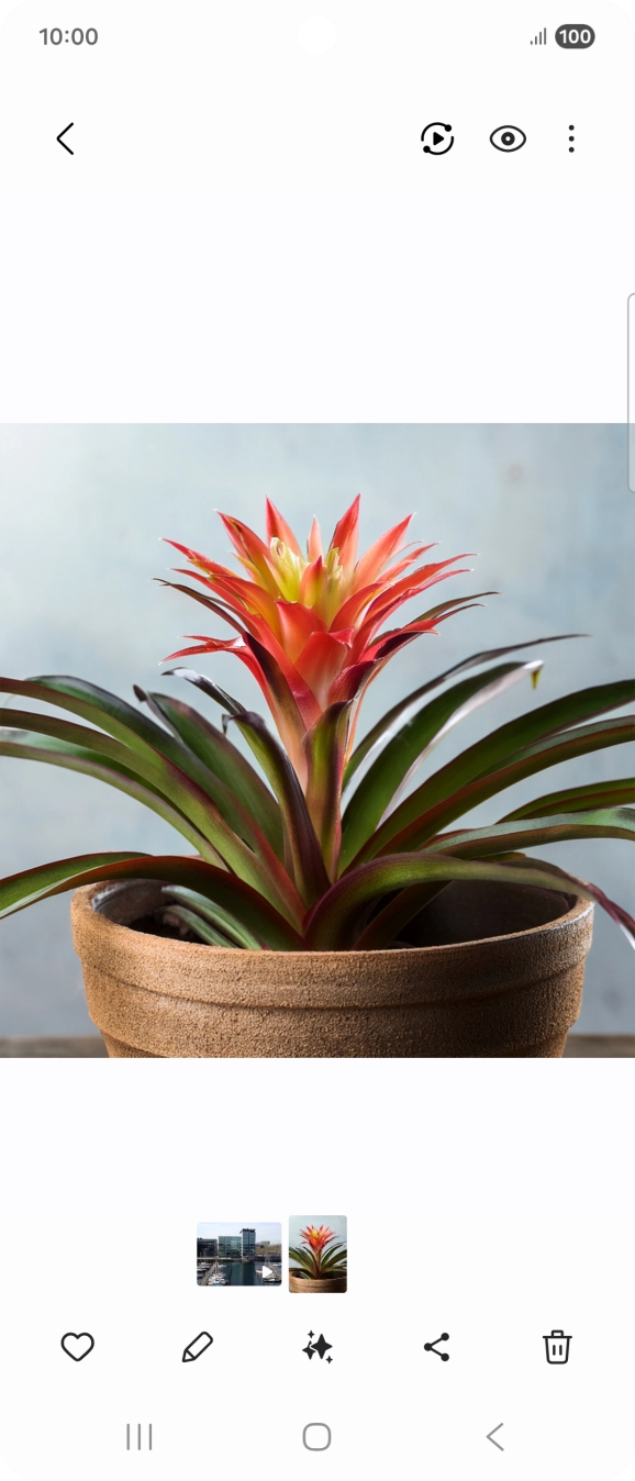 Dirija-se à imagem pretendida.