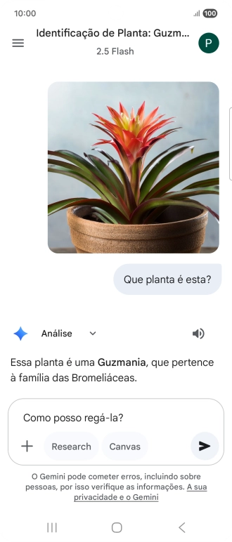 Siga as indicações no ecrã para escrever ou ditar perguntas, para continuar a conversa.