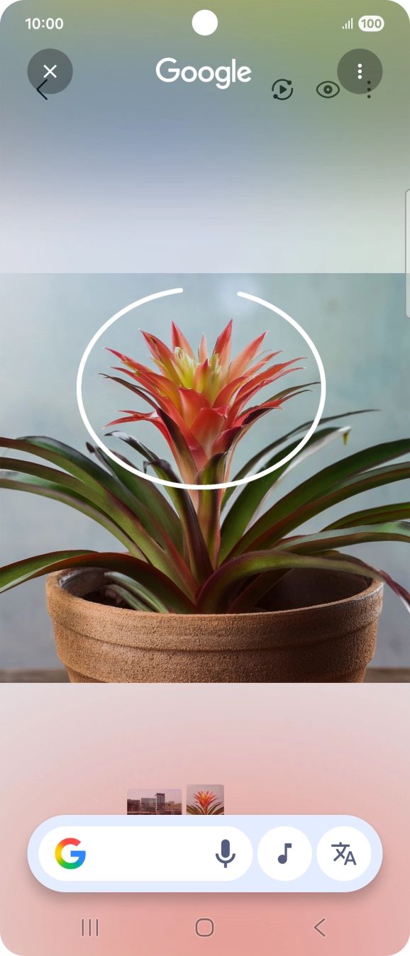 Desenhe um círculo em volta do objeto pretendido na imagem e utilize os resultados da pesquisa.